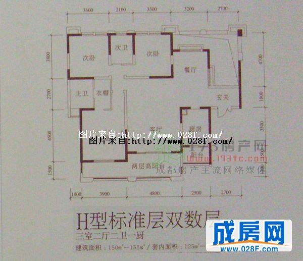 桐梓林欧城户型图,点击放大