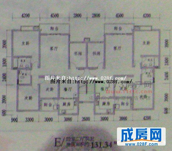 金丽花香户型图,点击放大