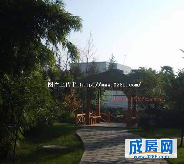 翠晨记小区环境,点击放大