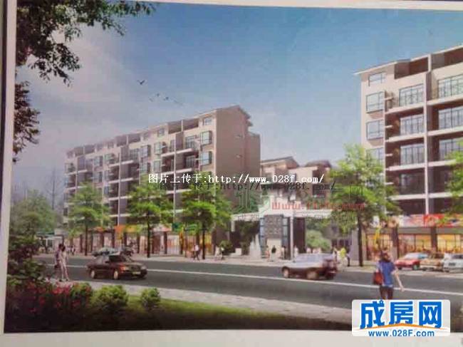 金丽花香小区环境,点击放大