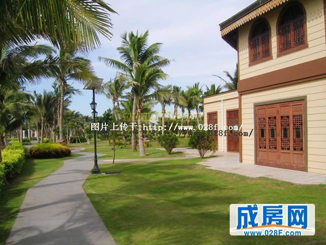海南白金海岸小区环境,点击放大