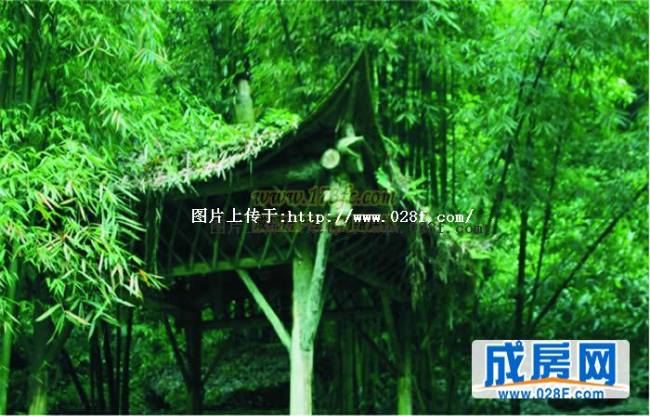 九韵青城小区环境,点击放大