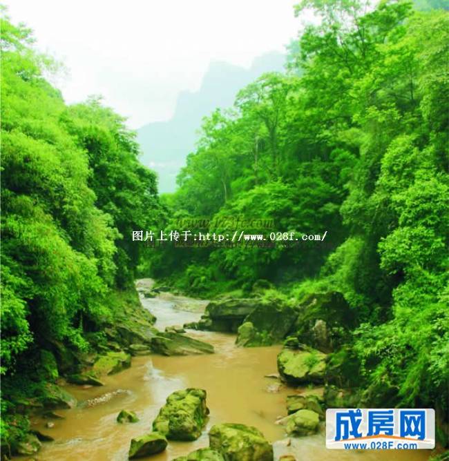 九韵青城小区环境,点击放大