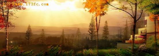 青城流水音小区环境,点击放大