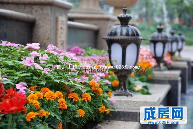 凯斯顿华府三期小区环境,点击放大