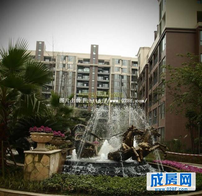 凯斯顿华府三期小区环境,点击放大