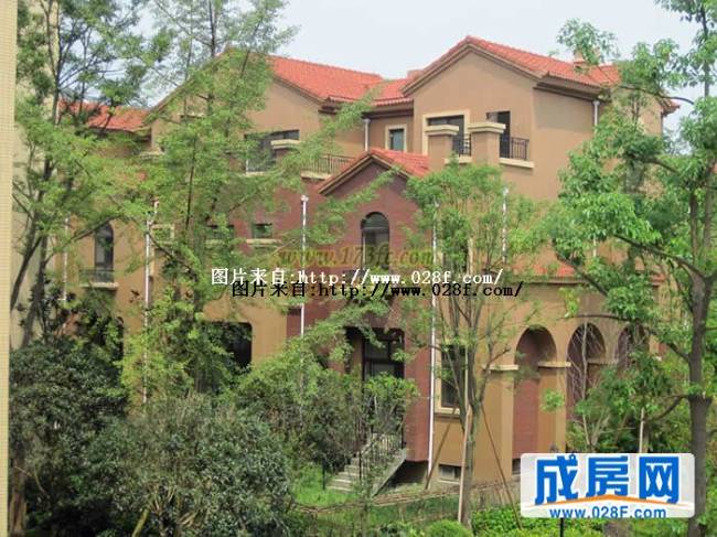 桂溪欧苑小区环境,点击放大