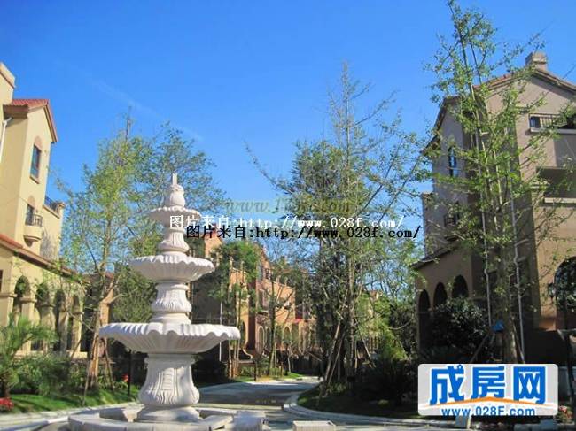 桂溪欧苑小区环境,点击放大