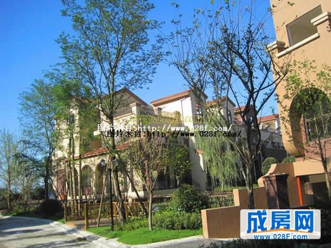 桂溪欧苑小区环境,点击放大