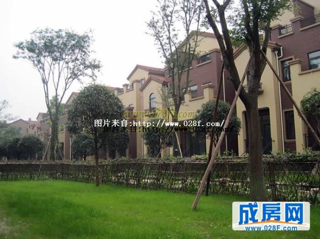 桂溪欧苑小区环境,点击放大