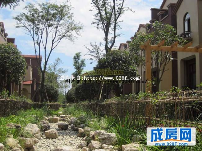 桂溪欧苑小区环境,点击放大