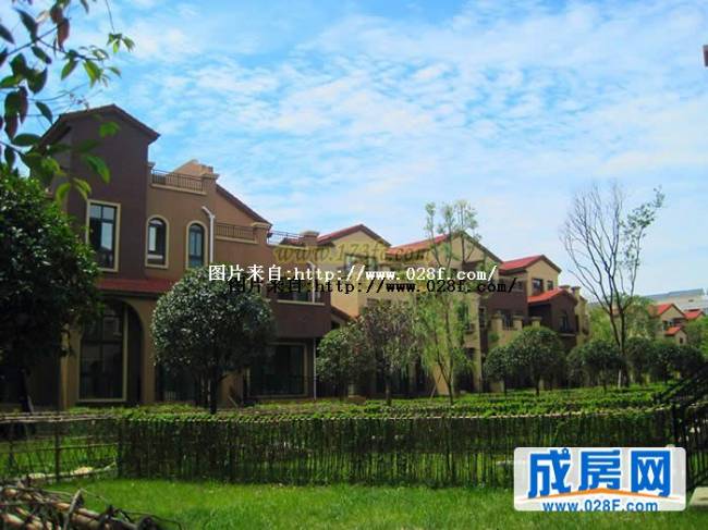 桂溪欧苑小区环境,点击放大