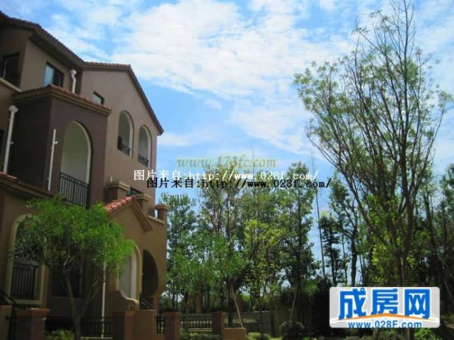 桂溪欧苑小区环境,点击放大