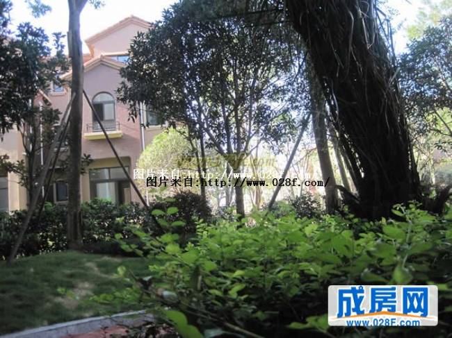 桂溪欧苑小区环境,点击放大