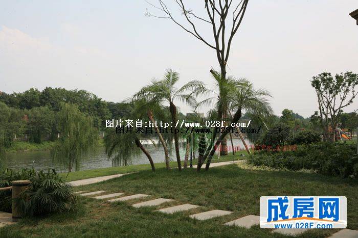 润扬·双河鹭岛小区环境,点击放大