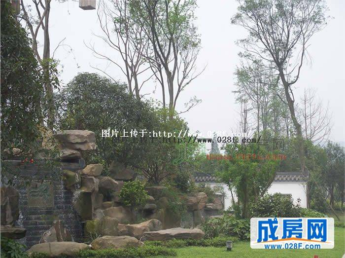 梵谷源小区环境,点击放大