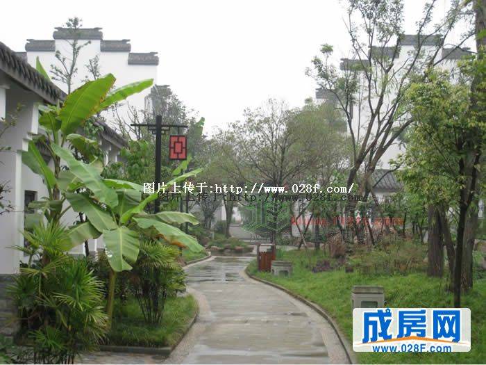 梵谷源小区环境,点击放大