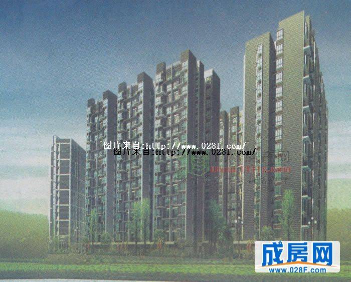 天府金花-外观图