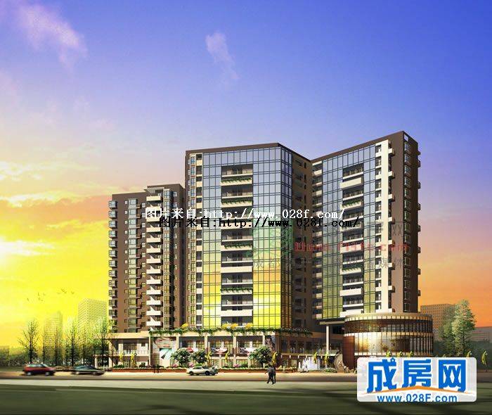 鑫盛白兰地-外观图