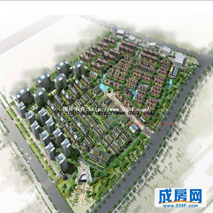 宗申·塞纳维-外观图