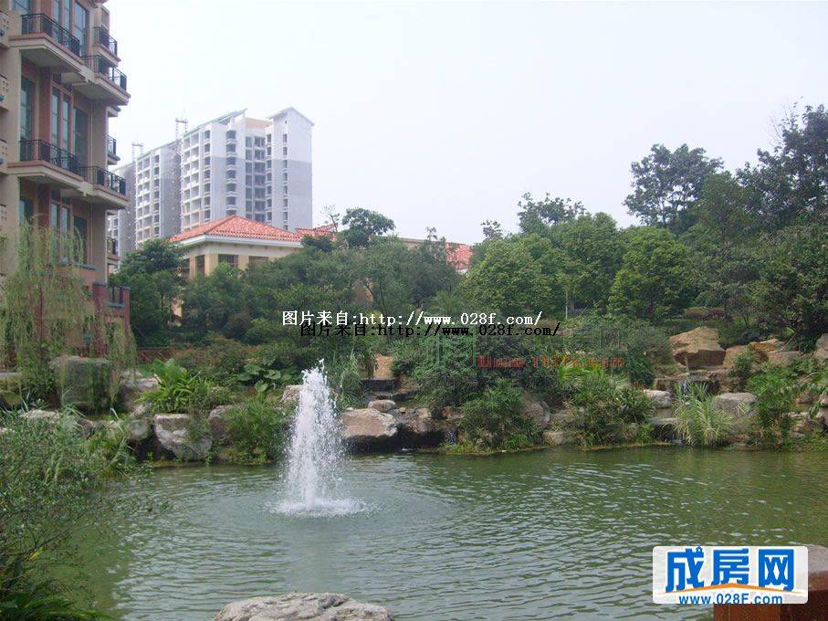 东骏湖景湾小区环境,点击放大