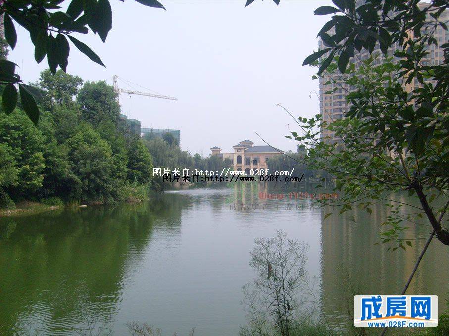 东骏湖景湾小区环境,点击放大