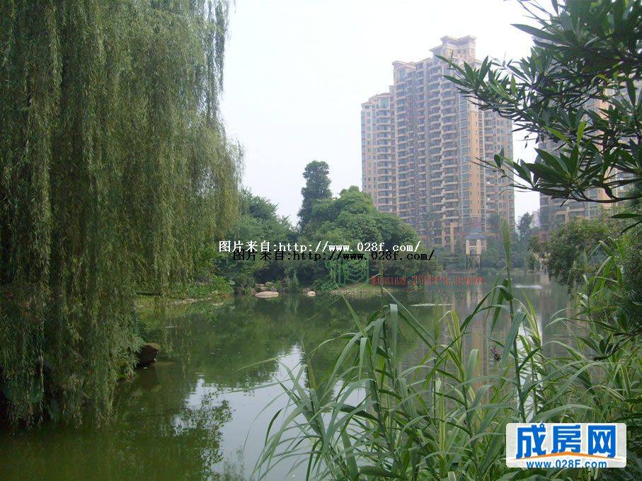 东骏湖景湾小区环境,点击放大